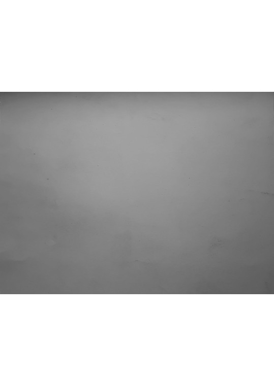 Giorgio Morandi